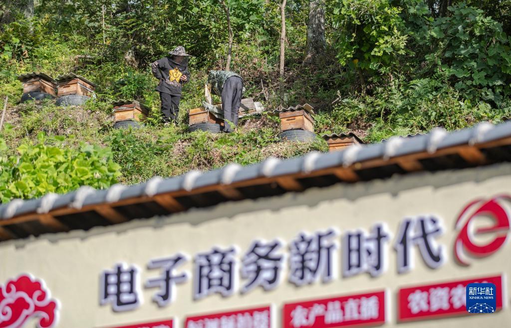 新濠水果机9线游戏技巧